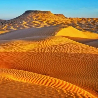 Golden Dunes - vonný olej na výrobu svíček