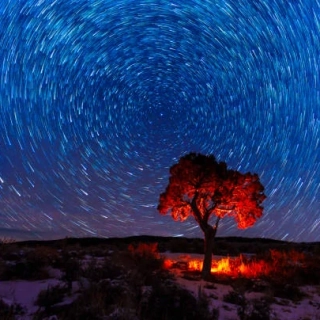 North Star - vonný olej na výrobu svíček